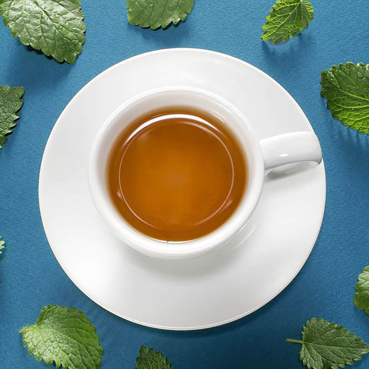 白色的薄荷茶和新鲜的叶子意味着蓝色的背景。
