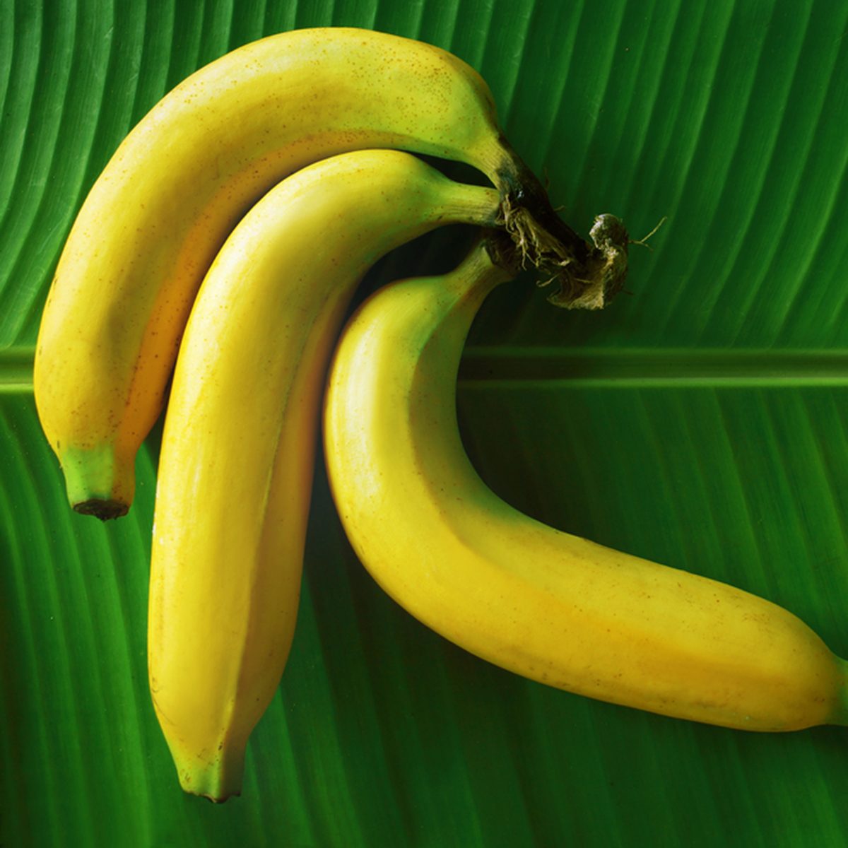 香蕉零食在香蕉叶上