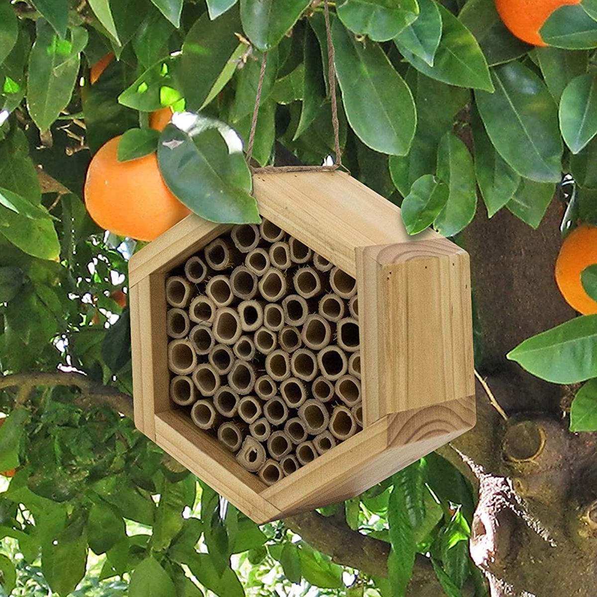 梅森蜂屋-手工制作的天然竹蜂房-吸引和平的蜜蜂传粉者，提高您的花园的生产力