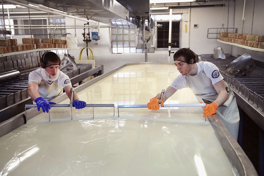 2016年6月27日，威斯康星州特蕾莎市的威德默奶酪酒窖里，贾斯汀·科赫(左)和特雷弗·赫策尔在一缸砖头奶酪里切凝乳。