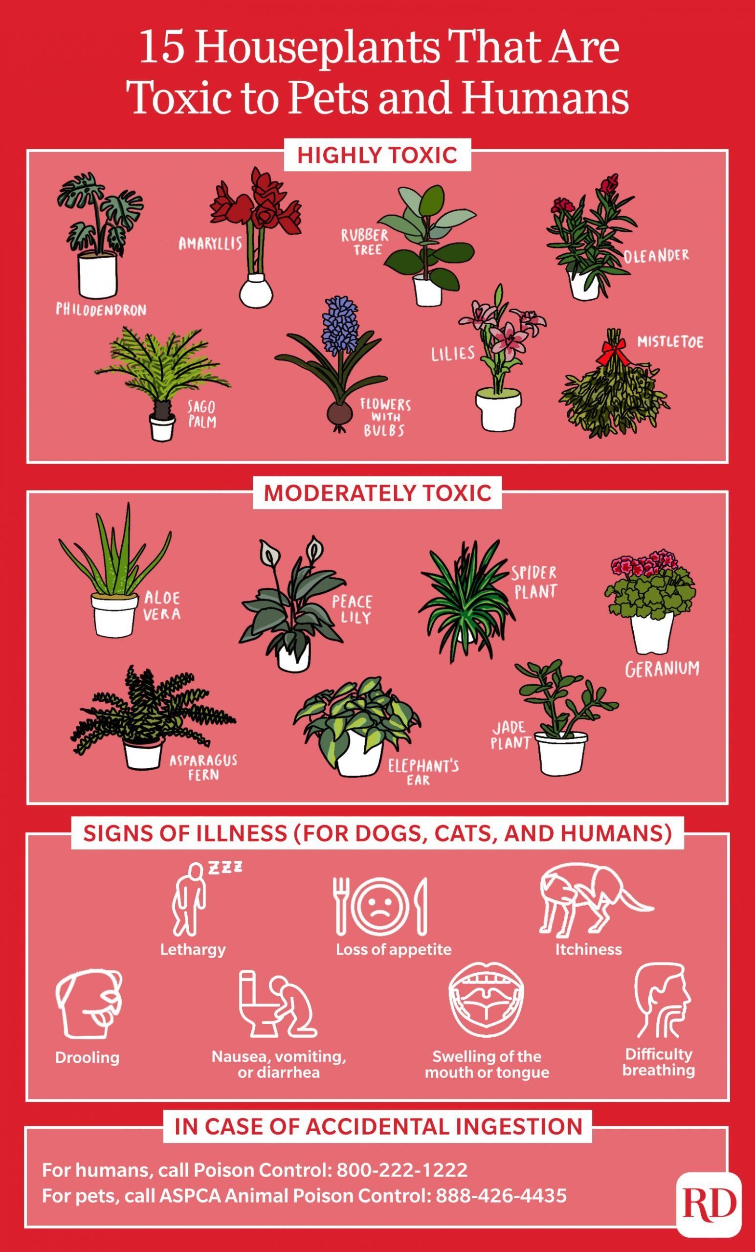 有毒植物信息图