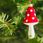 什么是圣诞蘑菇，为什么你的圣诞树需要一个